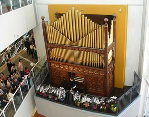 huge organ