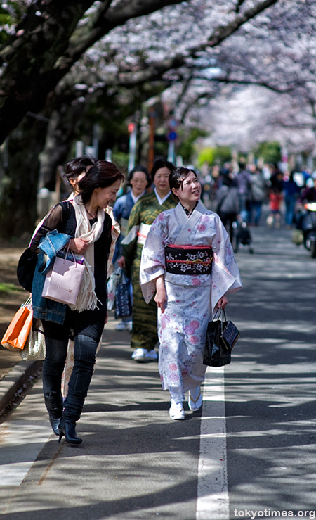 cherry blossom kimono