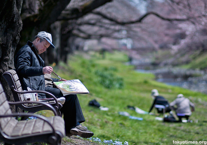 Tokyo cherry blossom