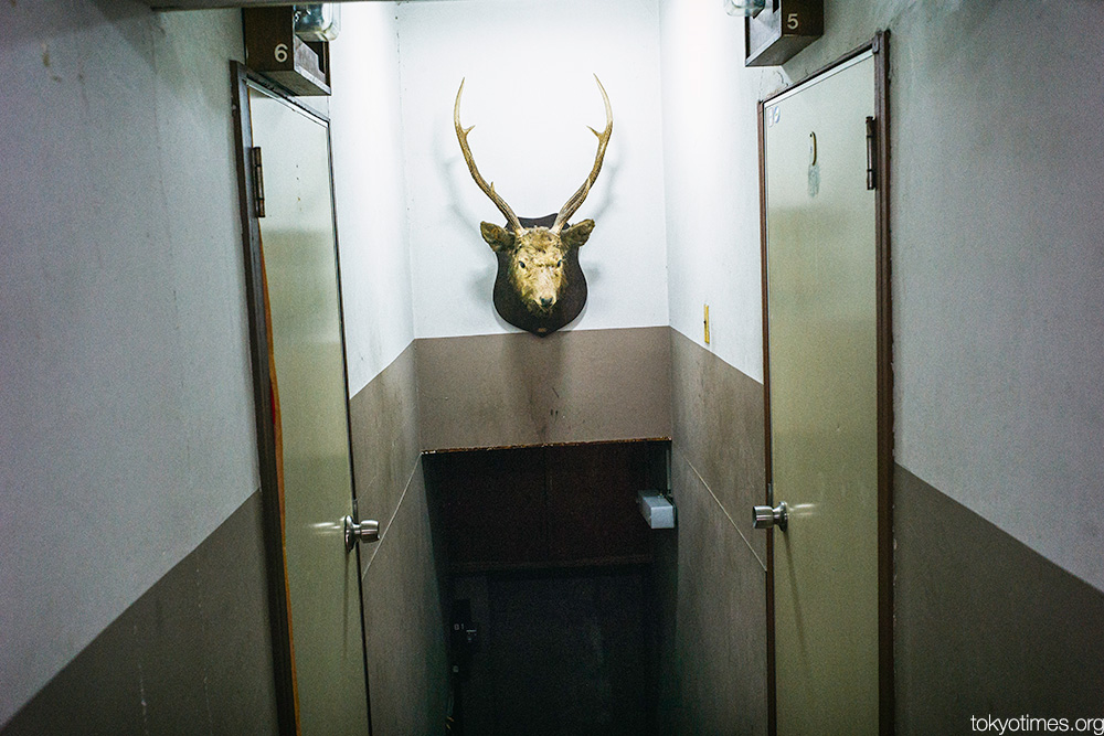 deer head in a Tokyo apartment building