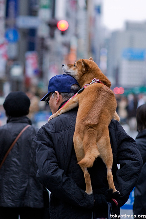 Japanese man carrying a dog