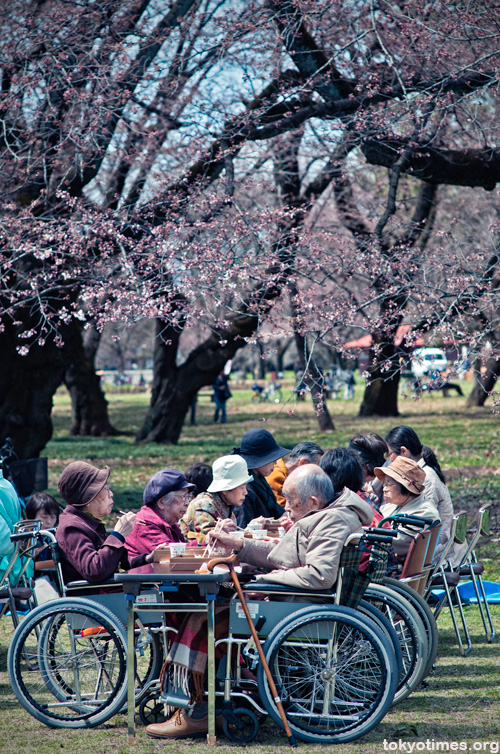 Japanese hanami