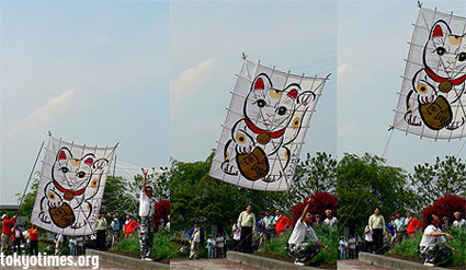 Japanese kites