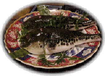 fugu.jpg