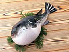 fugu02.jpg