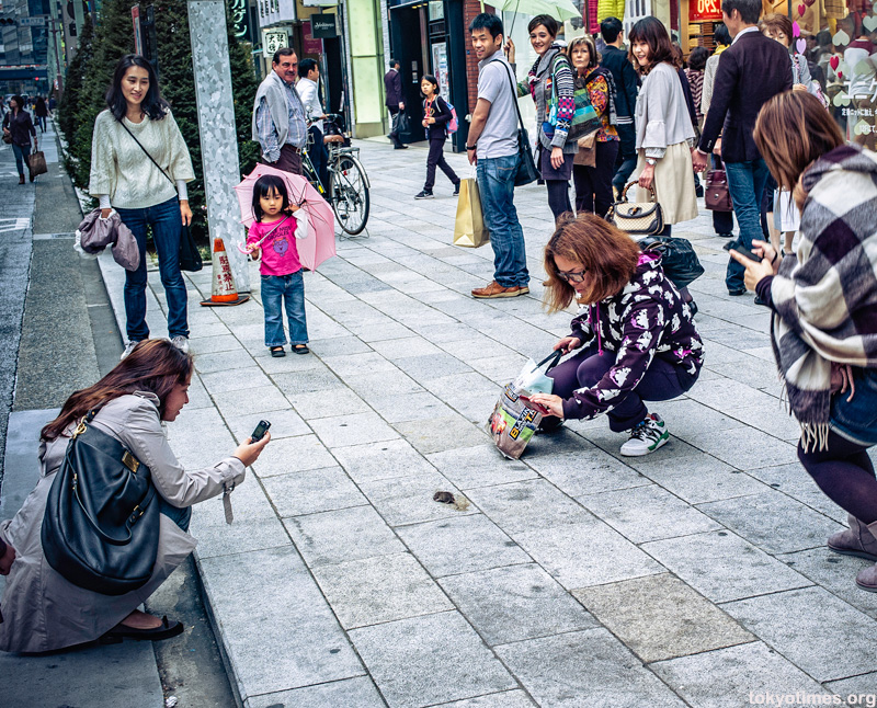 a mouse in Ginza, Tokyo