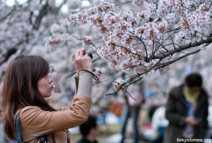 Tokyo hanami