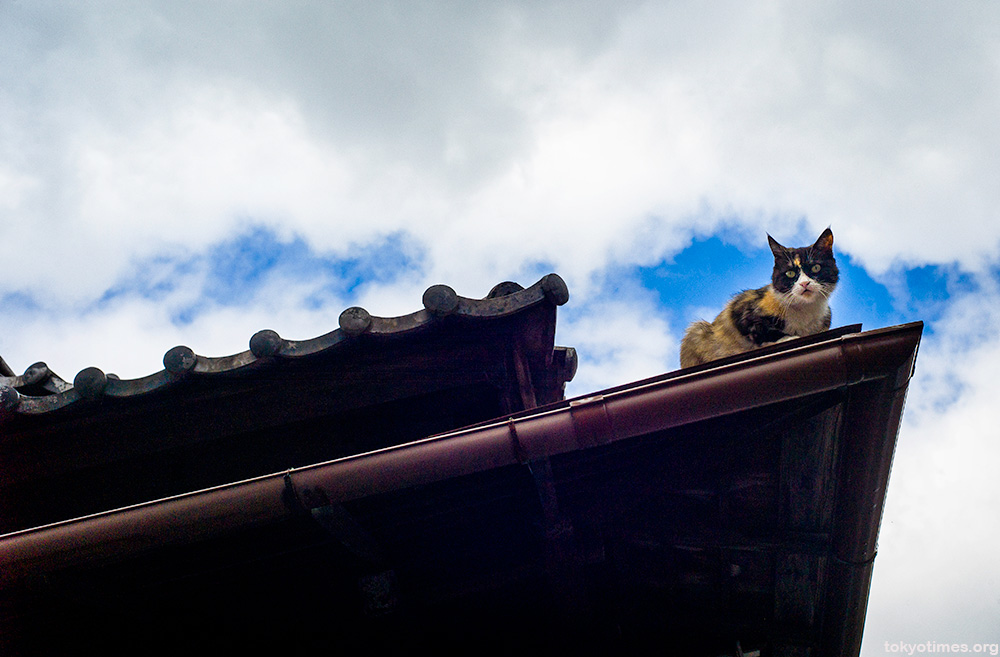 Japanese cat gargoyle