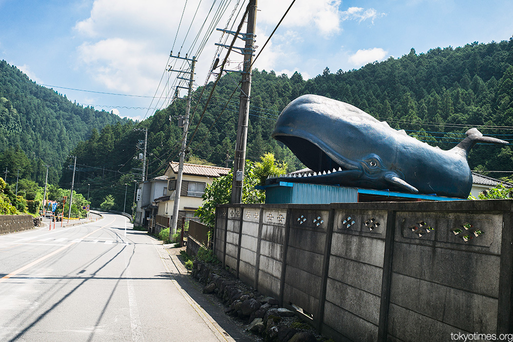 Japanese roadside whale