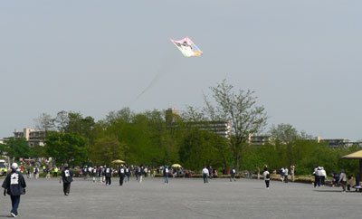 japanese kite