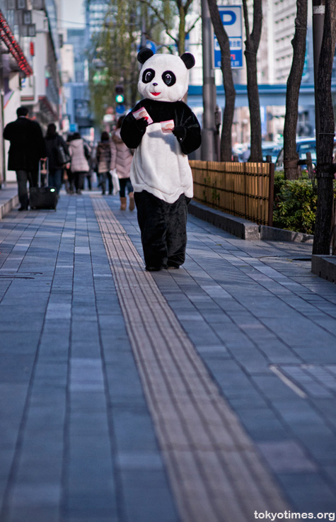 Tokyo panda suit