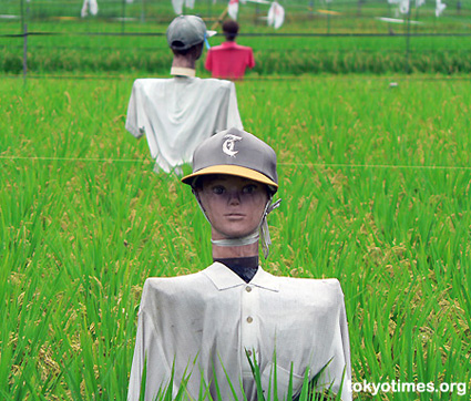 Japanese rice field
