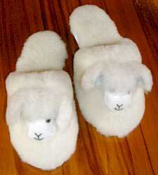 slippers.jpg