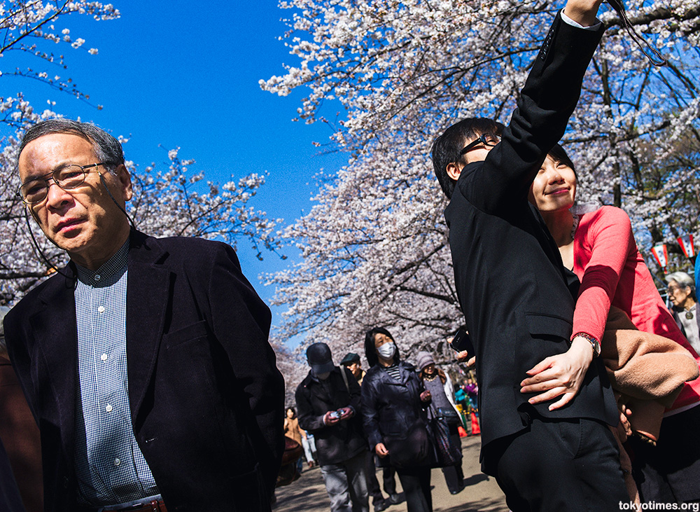 Japanese cherry blossom couple