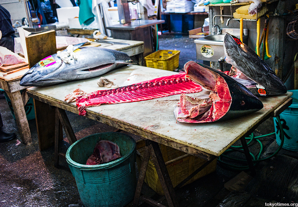 Tsukiji fish market tuna