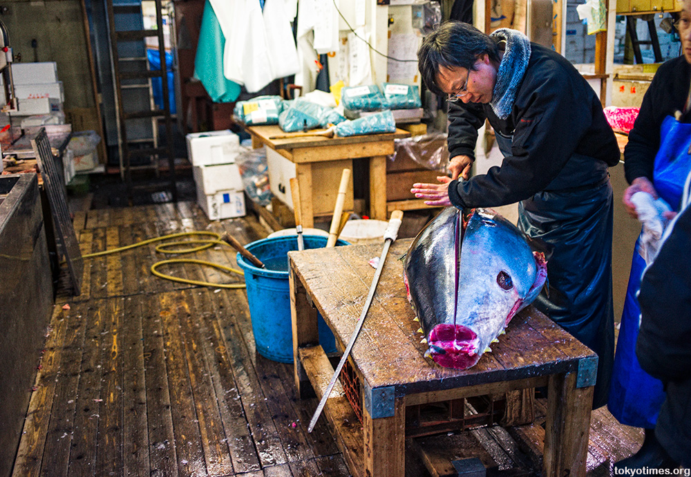 Tsukiji fish market tuna