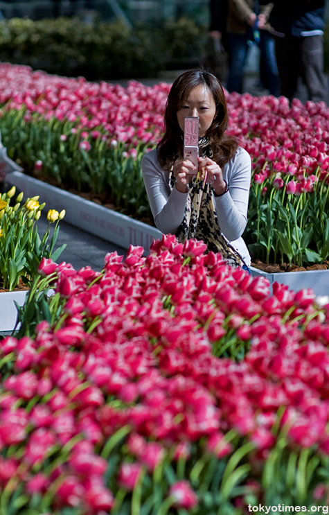 Marunouchi tulip fair 2010