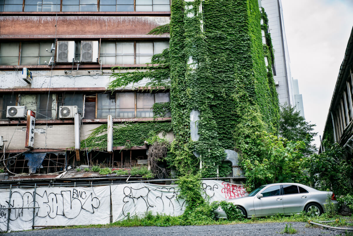 crumbling and overgrown Tokyo