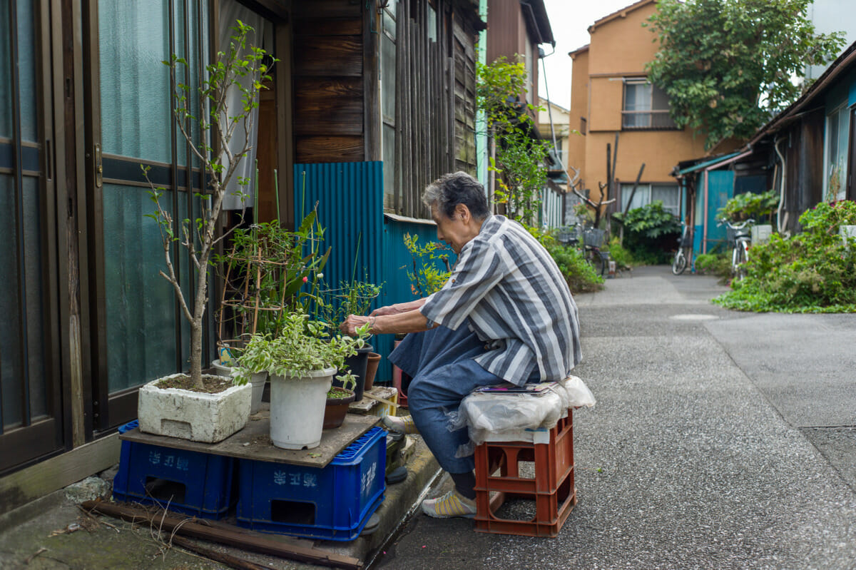 Tokyo urban garden before and after photos