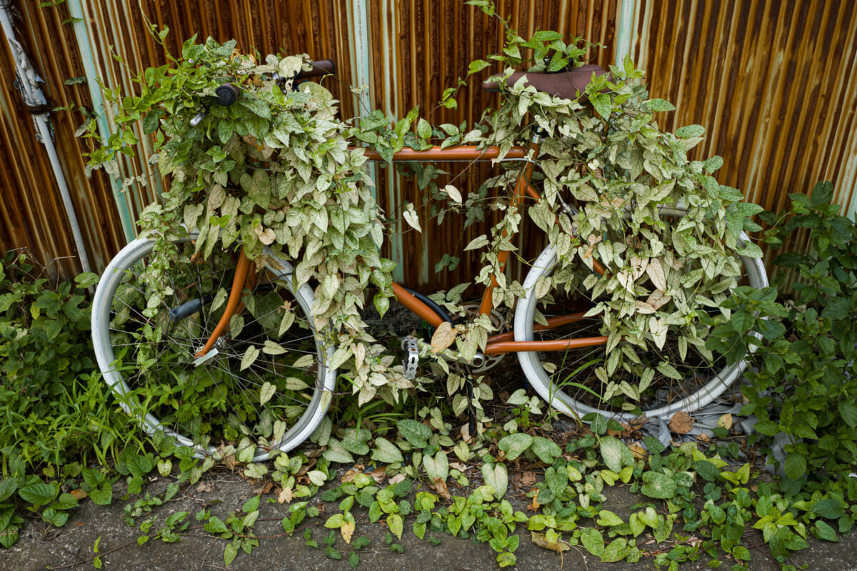 Long-forgotten Tokyo bicycles