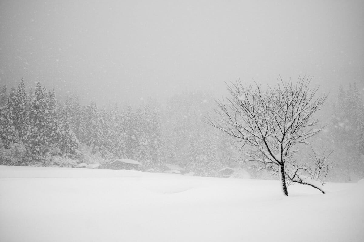 a beautifully bleak Japanese village in the snow