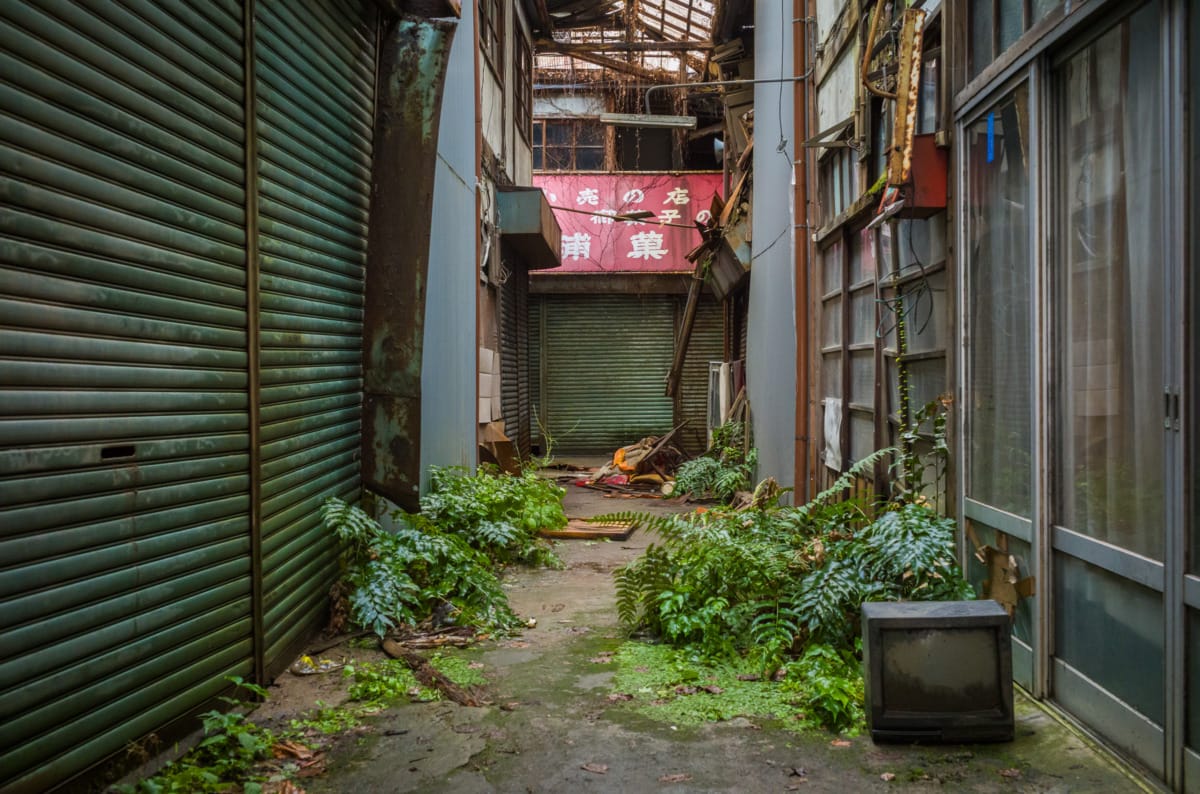 The overgrown beauty of a long abandoned Japanese shopping arcade