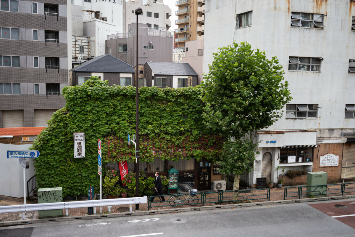 narrow and overgrown old Tokyo restaurant
