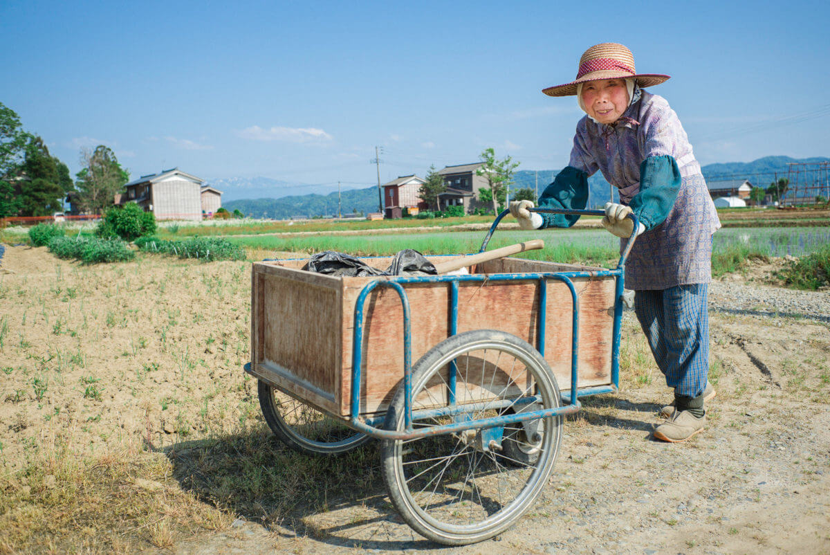 old Japanese farmer working in the fields