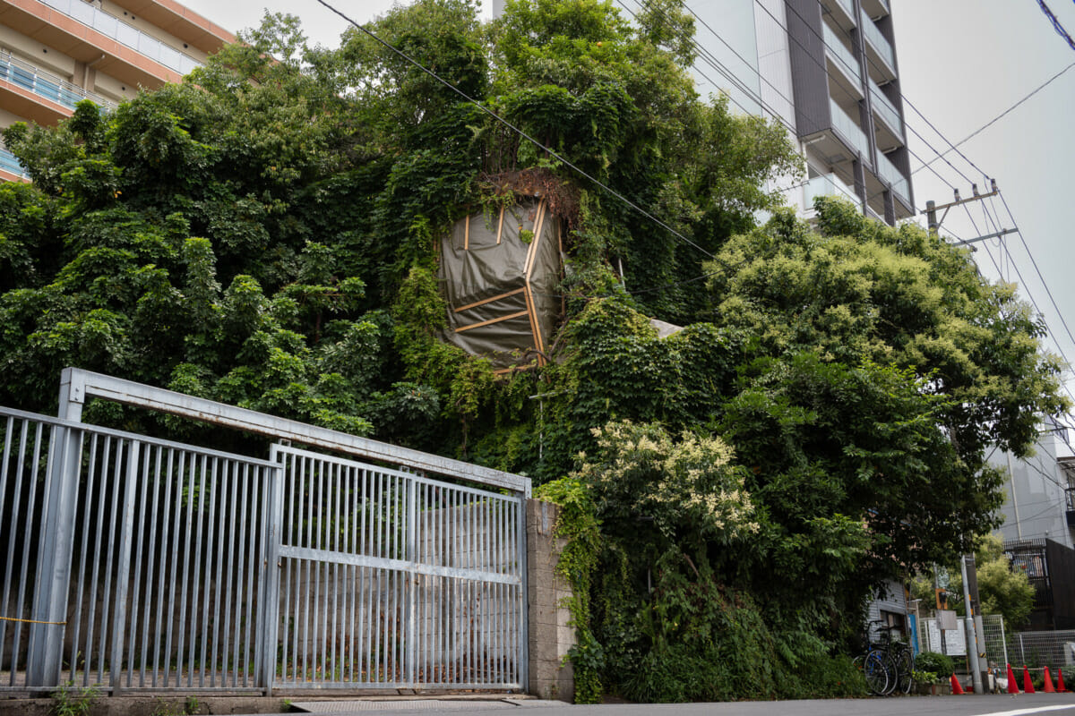 An overgrown and crumbling old Tokyo hotel