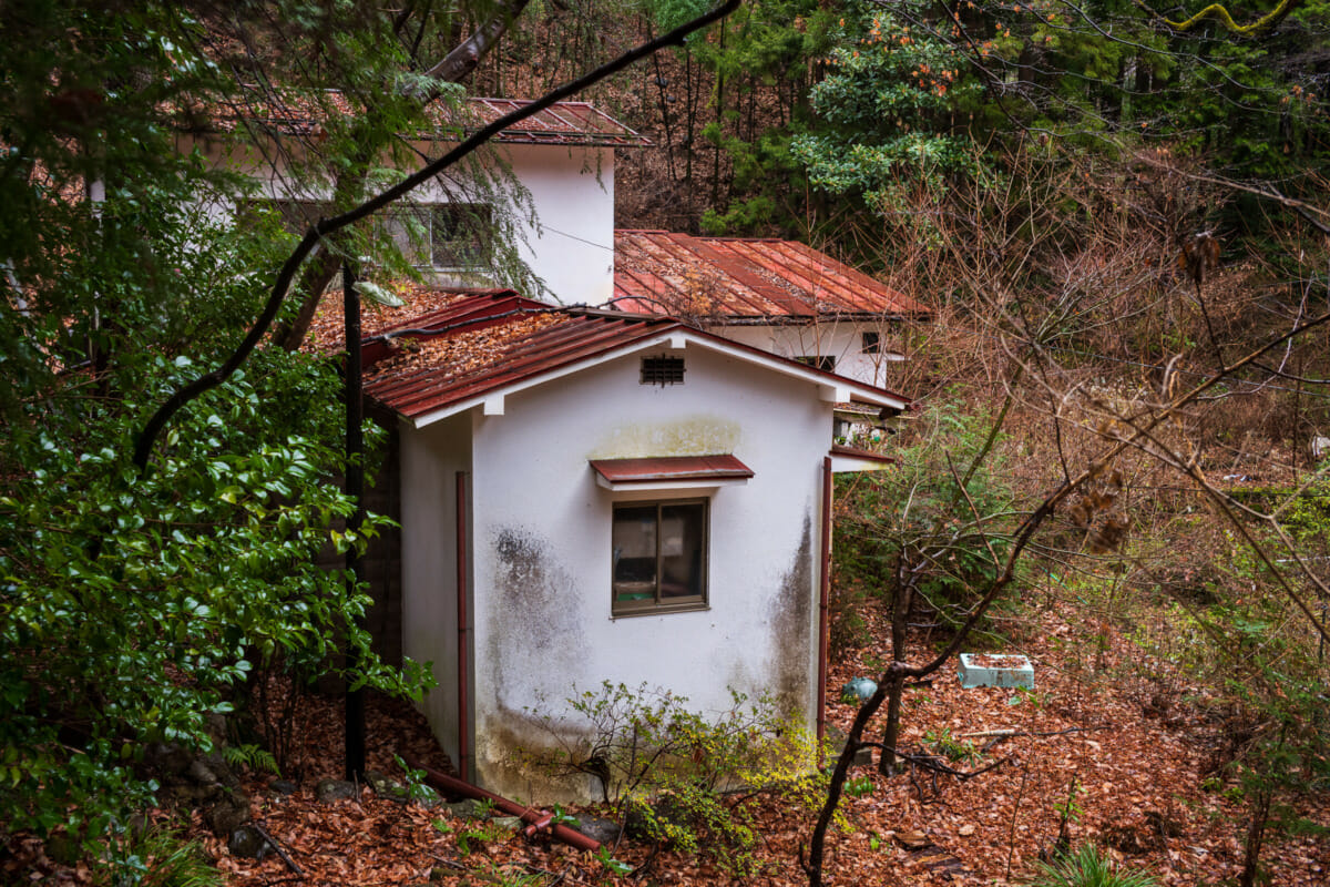 memories in an abandoned Japanese home
