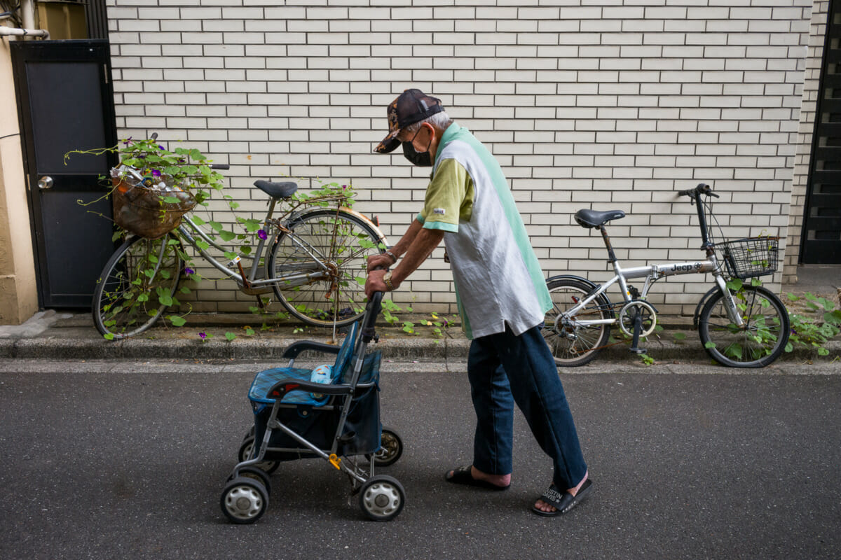 The cycle of life in Tokyo