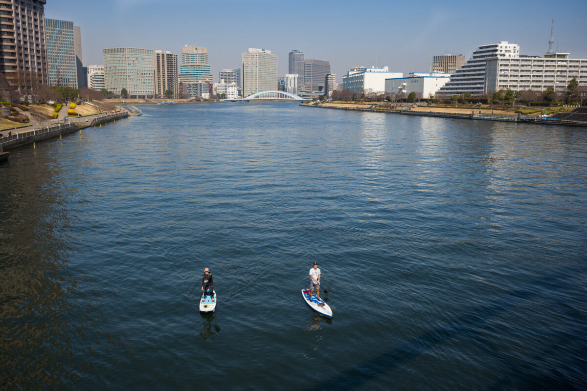 Japanese paddleboarders in Tokyo