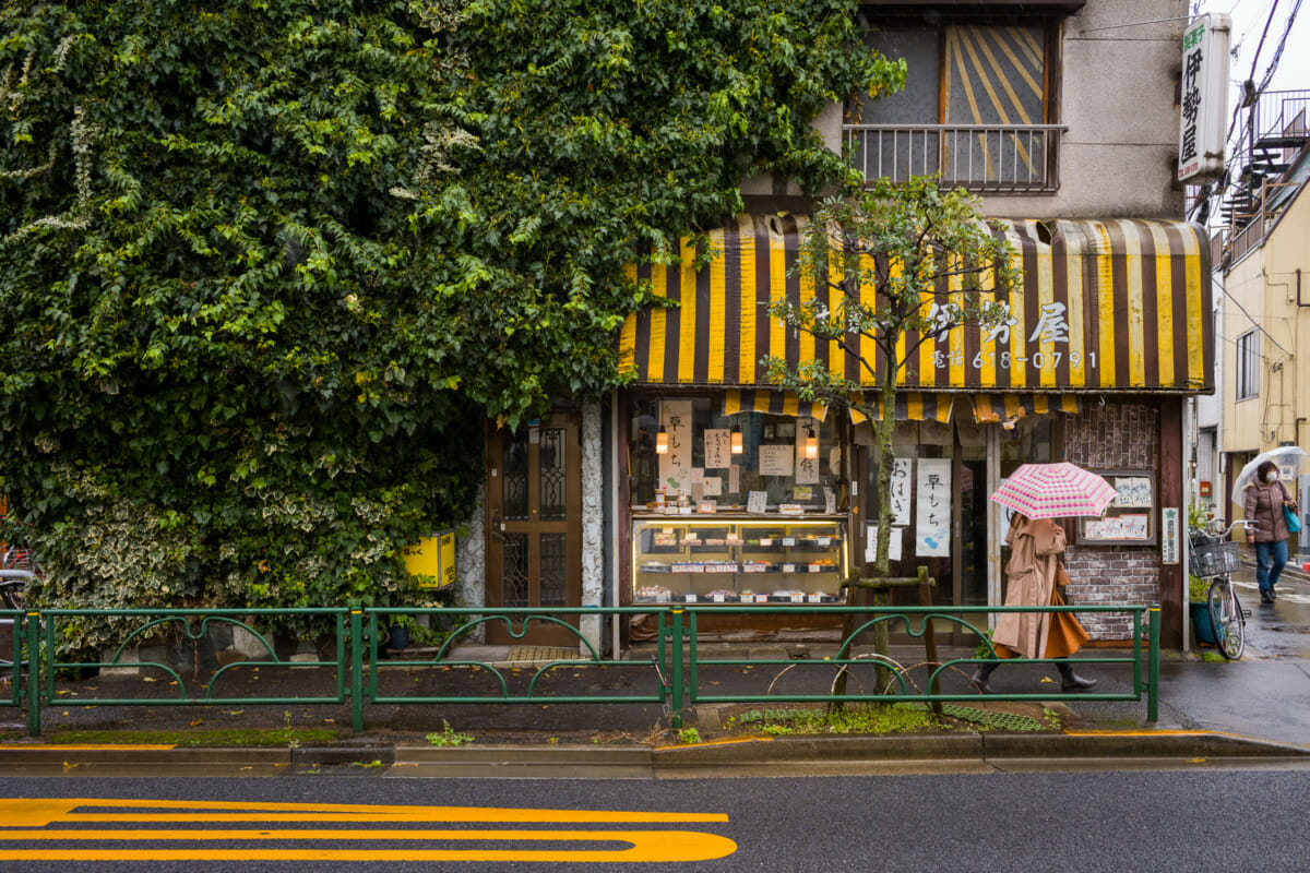 Tokyo urban colours in the rain