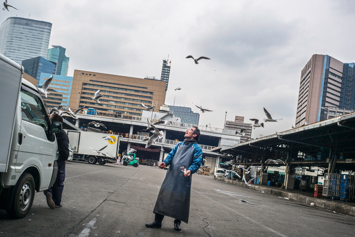 Tsukiji fish market joy feeding the birds