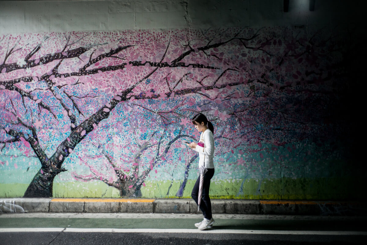 urban cherry blossom art in Tokyo