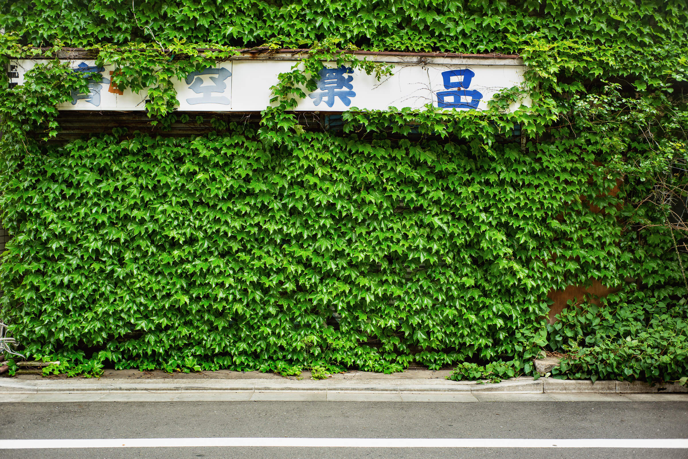 Urban Tokyo greenery — Tokyo Times